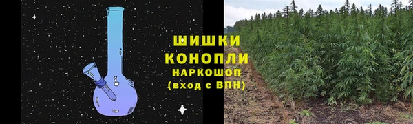 дживик Абинск