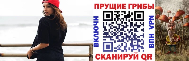 Галлюциногенные грибы GOLDEN TEACHER  Кочубеевское 